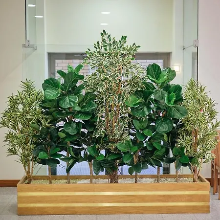 ホテル O Guerreiro 3*